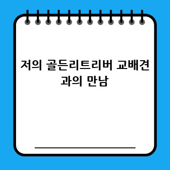 10ade8d8820dd0ea8775bd14f45f5eb0.jpg