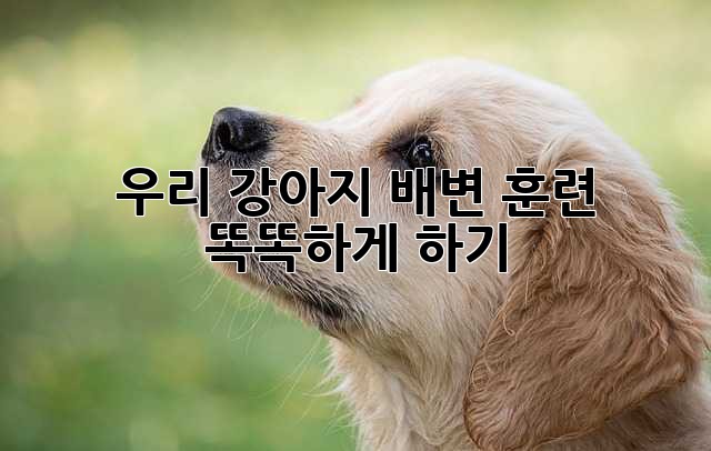 7fbd95839aaf1953a0f3769ba6b2ce4b.jpg