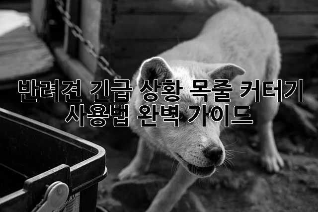 dd08a8714b4ab8aa8e01e99ed916f134.jpg