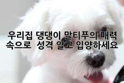 우리집 댕댕이, 말티푸의 매력 속으로! ✨ 성격 알고 입양하세요