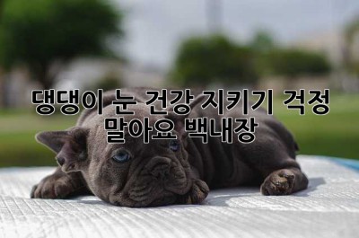 댕댕이 눈 건강 지키기: 걱정 말아요, 백내장!