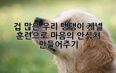 겁 많은 우리 댕댕이, 케넬 훈련으로 마음의 안식처 만들어주기🐶