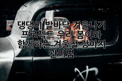 댕댕이 발바닥 겨울나기 프로젝트: 우리 봄이와 함께하는 겨울철 강아지 관리법