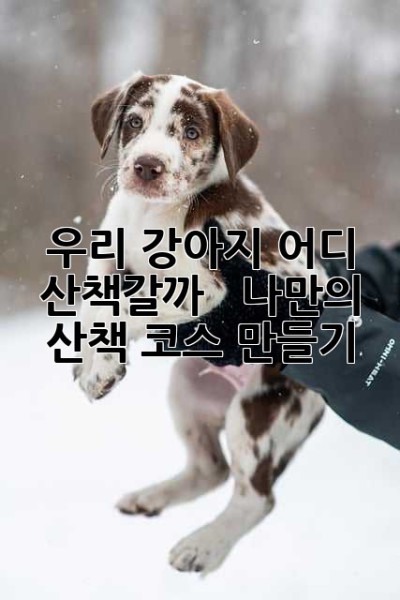 우리 강아지, 어디 산책갈까? 🐶🐾  나만의 산책 코스 만들기!