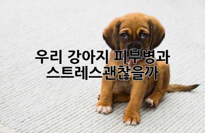 우리 강아지, 피부병과 스트레스…괜찮을까?