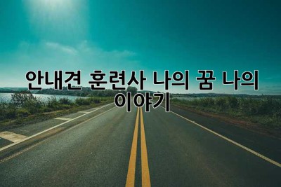 안내견 훈련사? 나의 꿈, 나의 이야기🐶
