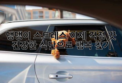 댕댕이 스트레스, 이제 걱정 끗!🐶 건강한 식단으로 행복 찾기