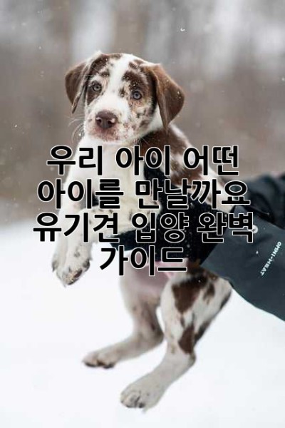 우리 아이, 어떤 아이를 만날까요? 유기견 입양 완벽 가이드