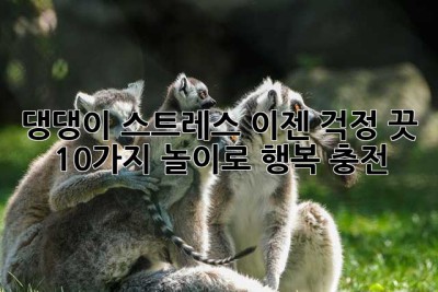 댕댕이 스트레스, 이젠 걱정 끗! 🐶  10가지 놀이로 행복 충전!