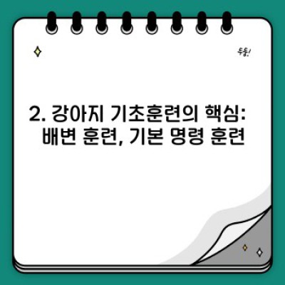 강아지 기초훈련 완벽 가이드: 문제 해결부터 성공적인 훈련까지