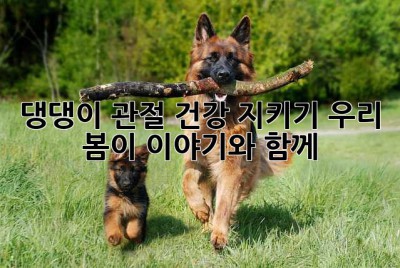 댕댕이 관절 건강 지키기: 우리 봄이 이야기와 함께🐶