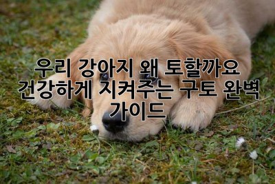 우리 강아지, 왜 토할까요? 😭 건강하게 지켜주는 구토 완벽 가이드