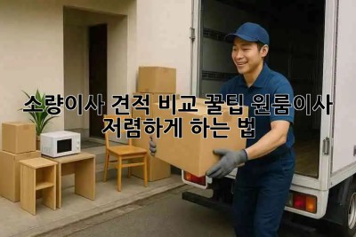 소량이사 견적 비교 꿀팁🍯 원룸이사 저렴하게 하는 법!