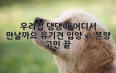 우리집 댕댕이, 어디서 만날까요? 유기견 입양 vs. 분양 고민 끝!