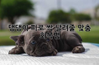 댕댕이 피로 싹 날려줄, 맞춤 회복법!