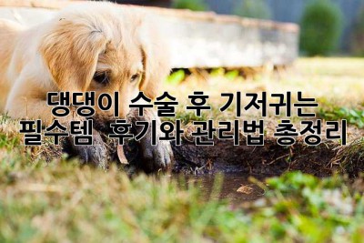 댕댕이 수술 후, 기저귀는 필수템? 🐶 후기와 관리법 총정리!