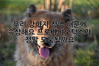 우리 강아지, 장염 때문에 속상해요…😭 프로바이오틱스가 정말 도움될까요?
