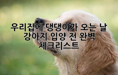 우리집에 댕댕이가 오는 날! ✨ 강아지 입양 전 완벽 체크리스트