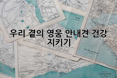 우리 곁의 영웅, 안내견 건강 지키기🐶