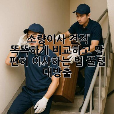 📦 소량이사 견적, 똑똑하게 비교하고 맘 편히 이사하는 법 꿀팁 대방출! 🍯