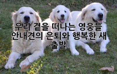 우리 곁을 떠나는 영웅들, 안내견의 은퇴와 행복한 새 출발
