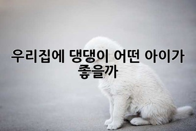 우리집에 댕댕이, 어떤 아이가 좋을까?