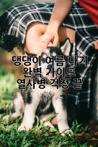 댕댕이 여름 나기 완벽 가이드: 열사병 걱정 끝! 😎