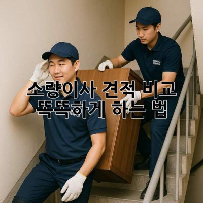 📦 소량이사 견적 비교, 똑똑하게 하는 법 💯