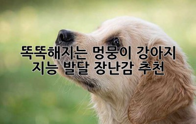 똑똑해지는 멍뭉이🐶! 강아지 지능 발달 장난감 추천