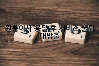원룸이사🚚 용달 후 서비스, 꿀팁🍯 대방출!