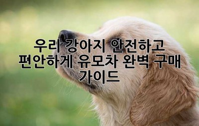 우리 강아지, 안전하고 편안하게! 유모차 완벽 구매 가이드🐶
