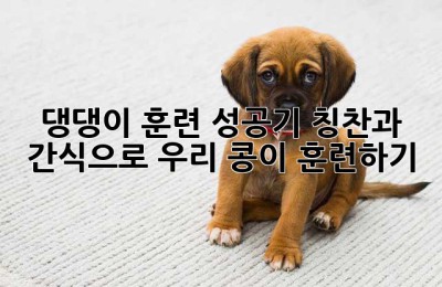 댕댕이 훈련 성공기: 칭찬과 간식으로 우리 콩이 훈련하기!
