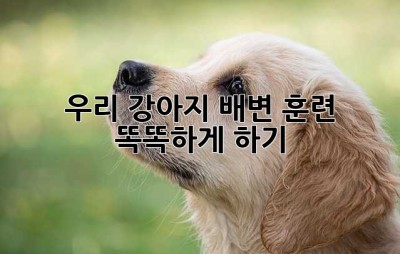우리 강아지, 배변 훈련 똑똑하게 하기!