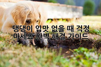 댕댕이 입맛 없을 때? 걱정 마세요! 완벽 해결 가이드🐶