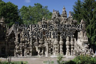 주식시장 변동: 블랙스완 사건과 위험 관리