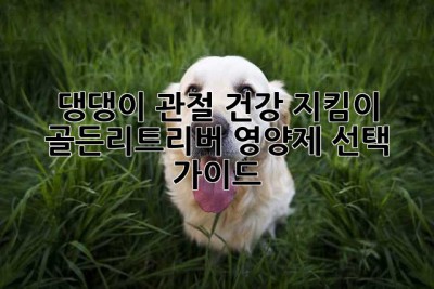댕댕이 관절 건강 지킴이: 골든리트리버 영양제 선택 가이드