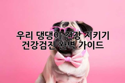 우리 댕댕이 건강 지키기🐶 건강검진 완벽 가이드