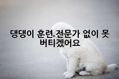 댕댕이 훈련, 전문가 없이 못 버티겠어요! 🐶