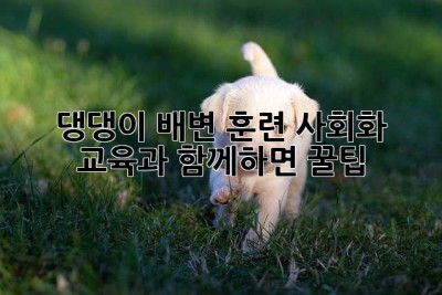 댕댕이 배변 훈련, 사회화 교육과 함께하면 꿀팁!🐶