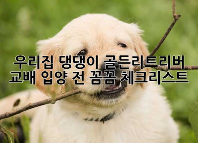 우리집 댕댕이, 골든리트리버 교배? 입양 전 꼼꼼 체크리스트!