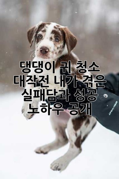 댕댕이 귀 청소 대작전! 내가 겪은 실패담과 성공 노하우 공개🐶👂