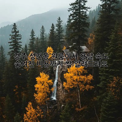 경주 성건동 원룸이사, 용달 속도🚀 숨겨진 비용까지 싹 알려드려요!