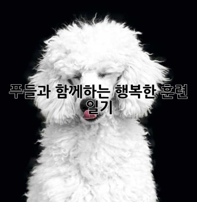 푸들과 함께하는 행복한 훈련 일기🐶