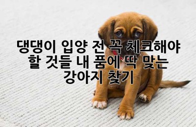 댕댕이 입양 전, 꼭 체크해야 할 것들! 내 품에 딱 맞는 강아지 찾기🐶