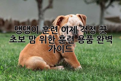 댕댕이 훈련, 이제 걱정 끗! 초보 맘 위한 훈련 용품 완벽 가이드🐶