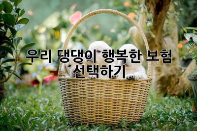 우리 댕댕이, 행복한 보험 선택하기🐶