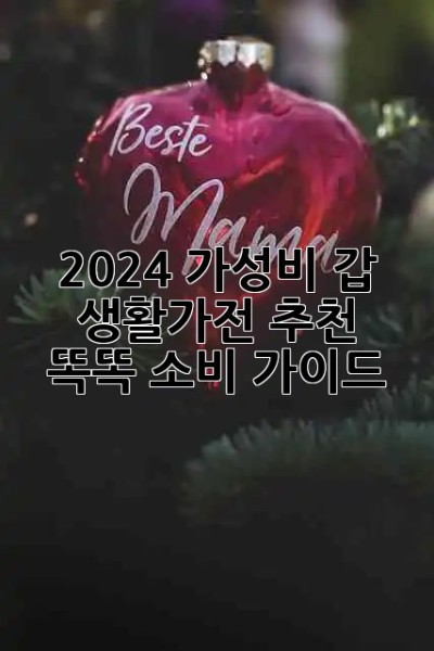 2024 가성비 갑👍 생활가전 추천 & 똑똑 소비 가이드
