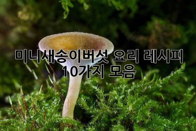 미니새송이버섯 요리 레시피 10가지 모음