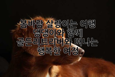 봄바람 살랑이는 여행, 댕댕이와 함께! 골든리트리버와 떠나는 행복한 여정🐶