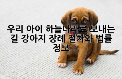 우리 아이, 하늘나라로 보내는 길: 강아지 장례 절차와 법률 정보